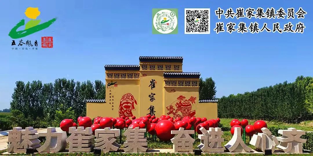 富硒烤地瓜历史（地瓜历史富硒产量排名）-硒宝网