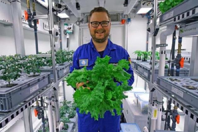 富硒地瓜开花吗(富硒地瓜口感)-硒宝网