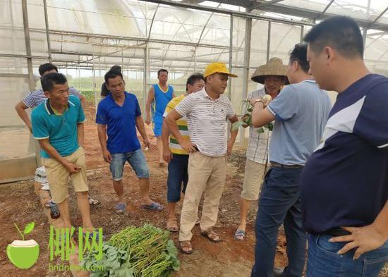 有机富硒的地瓜(富硒地瓜口感怎样)-硒宝网