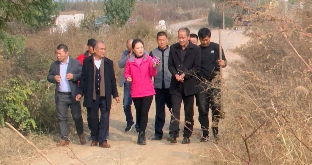 怎么烤富硒地瓜（地瓜富硒吗）-硒宝网