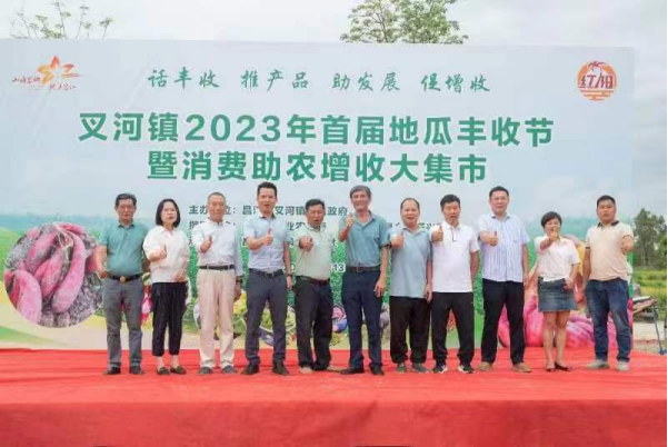 海南富硒地瓜节（海南富硒地瓜是毒地瓜吗）-硒宝网