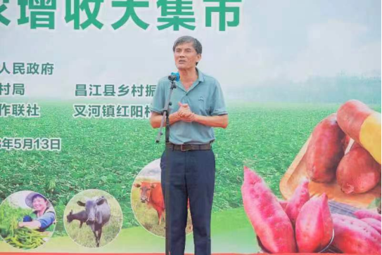 海南富硒地瓜节（海南富硒地瓜是毒地瓜吗）-硒宝网