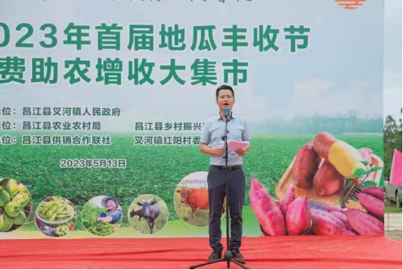 海南富硒地瓜节（海南富硒地瓜是毒地瓜吗）-硒宝网