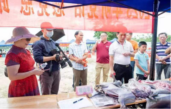 海南富硒地瓜节（海南富硒地瓜是毒地瓜吗）-硒宝网