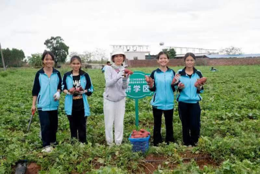海南富硒地瓜节（海南富硒地瓜是毒地瓜吗）-硒宝网
