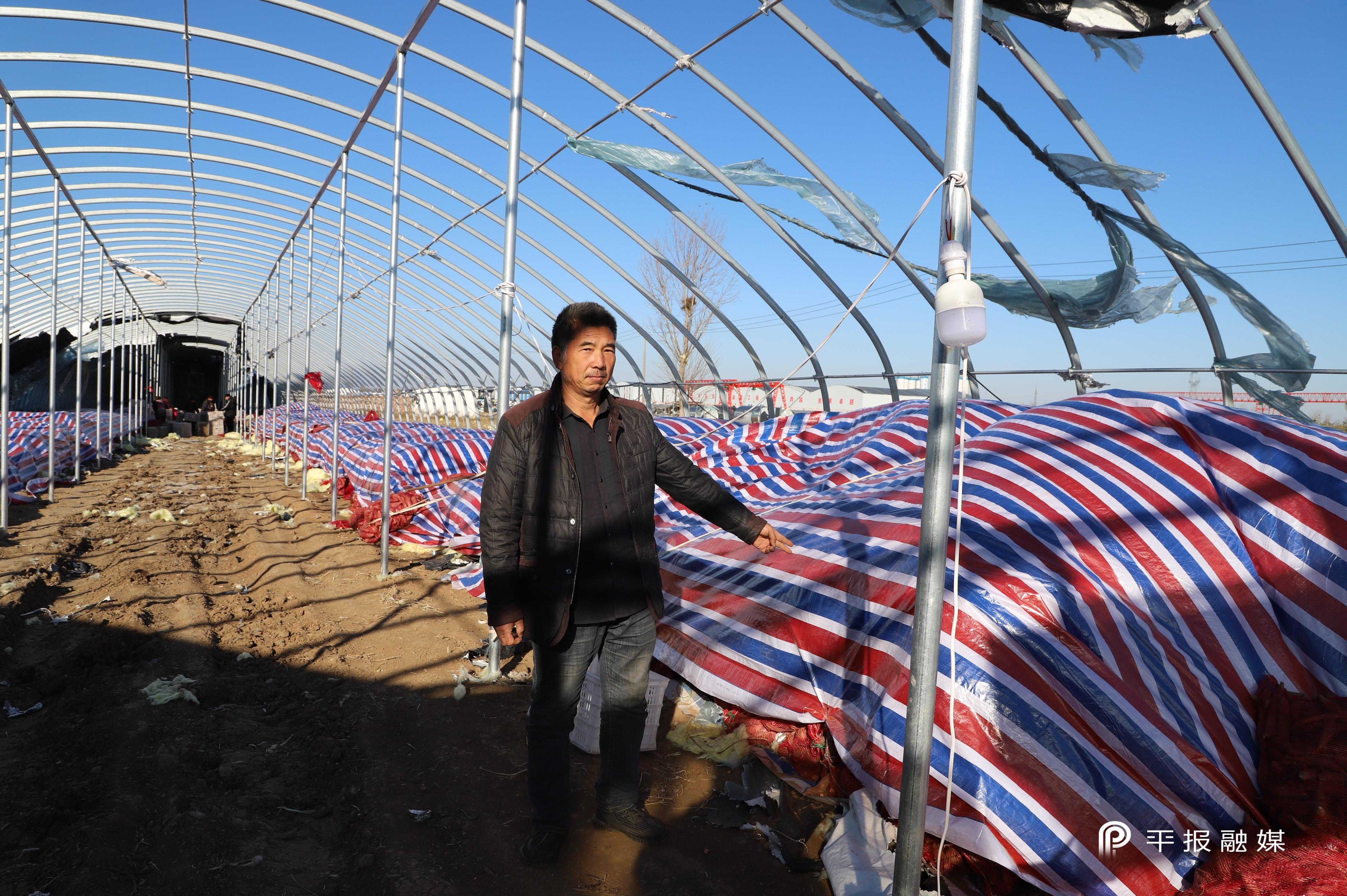 富硒地瓜的保存（富硒地瓜煮多长时间）-硒宝网