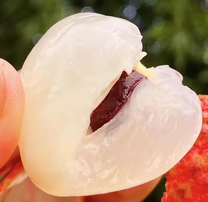 富硒地瓜为啥咸(富硒地瓜甜吗)-硒宝网