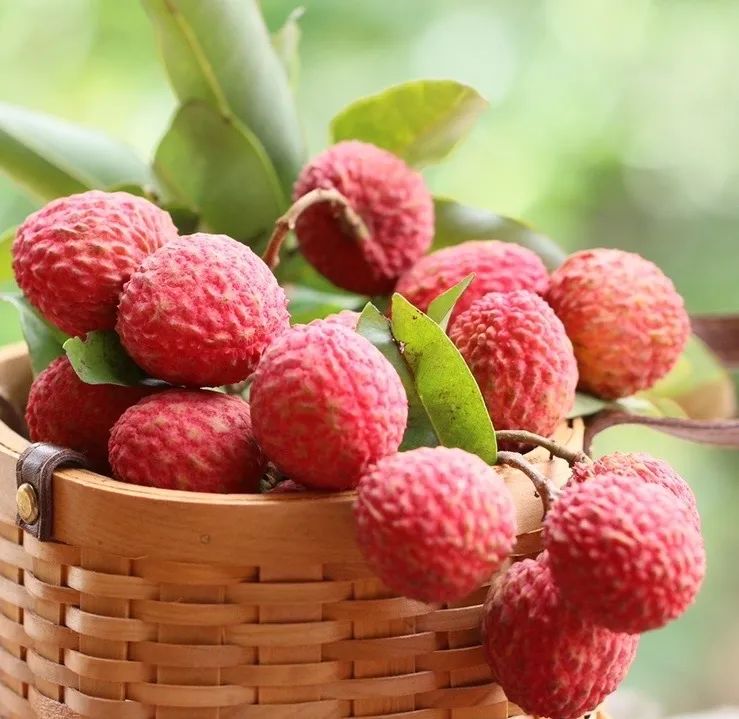 富硒地瓜为啥咸(富硒地瓜甜吗)-硒宝网