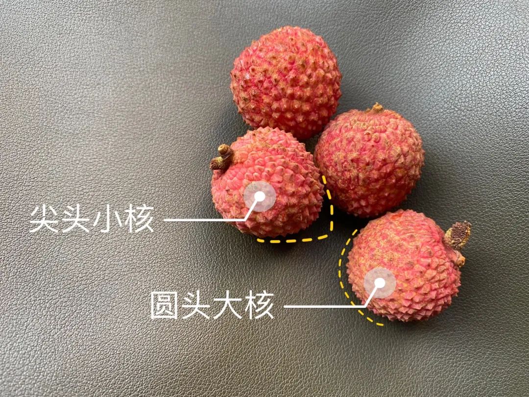 富硒地瓜为啥咸(富硒地瓜甜吗)-硒宝网