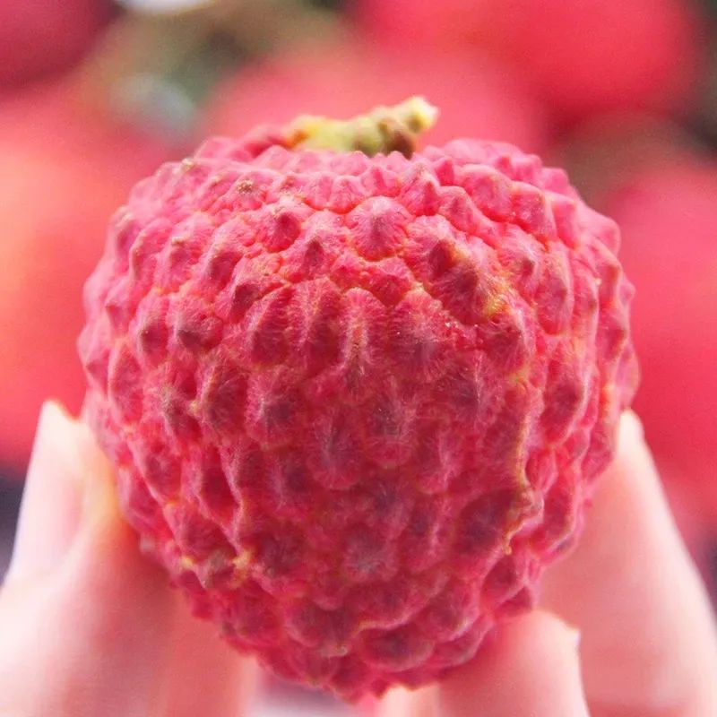 富硒地瓜为啥咸(富硒地瓜甜吗)-硒宝网