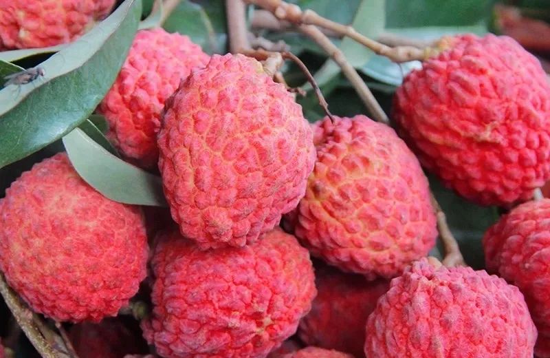 富硒地瓜为啥咸(富硒地瓜甜吗)-硒宝网