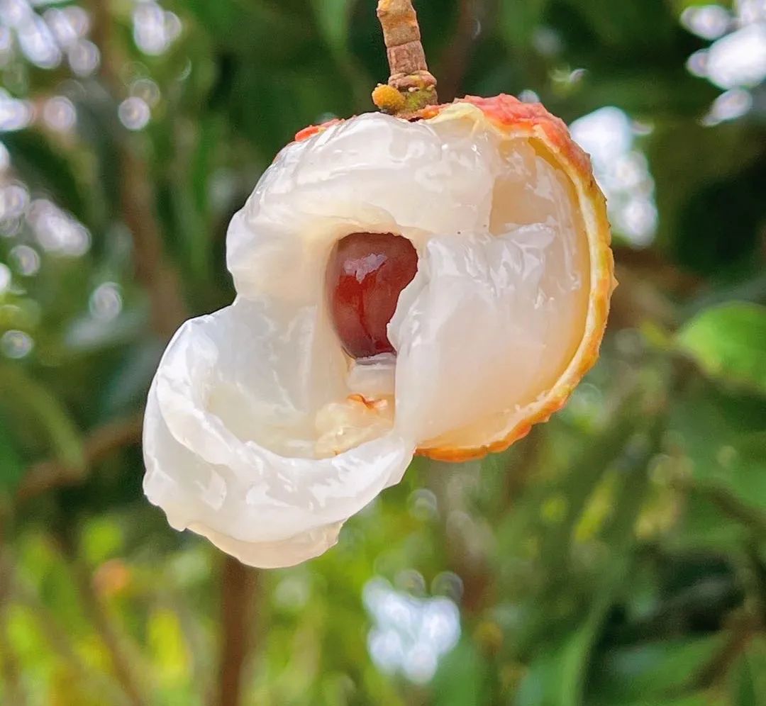 富硒地瓜为啥咸(富硒地瓜甜吗)-硒宝网