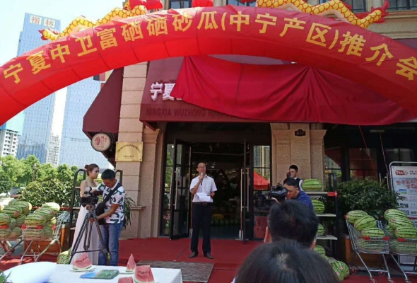 甘肃富硒沙地瓜(海南富硒沙地红薯)-硒宝网