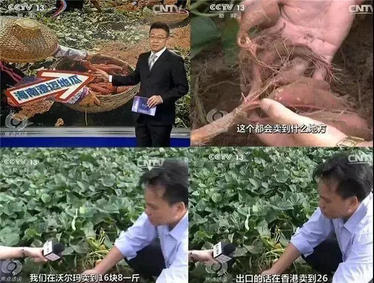 富硒地瓜有点苦（地瓜富硒标准）-硒宝网