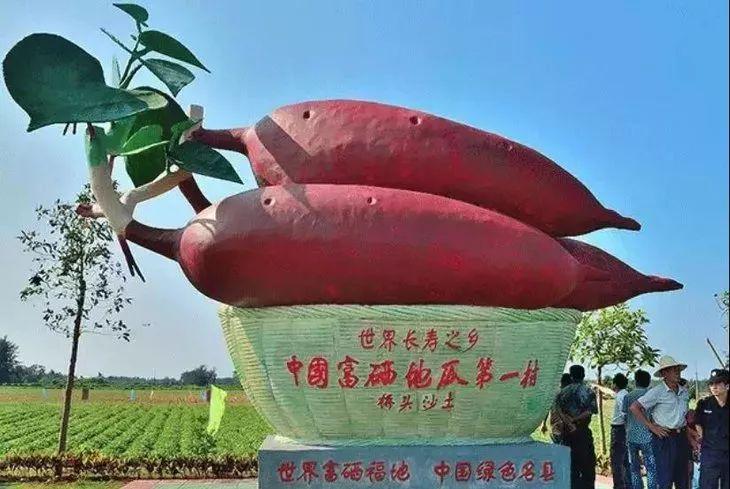 富硒地瓜有点苦（地瓜富硒标准）-硒宝网