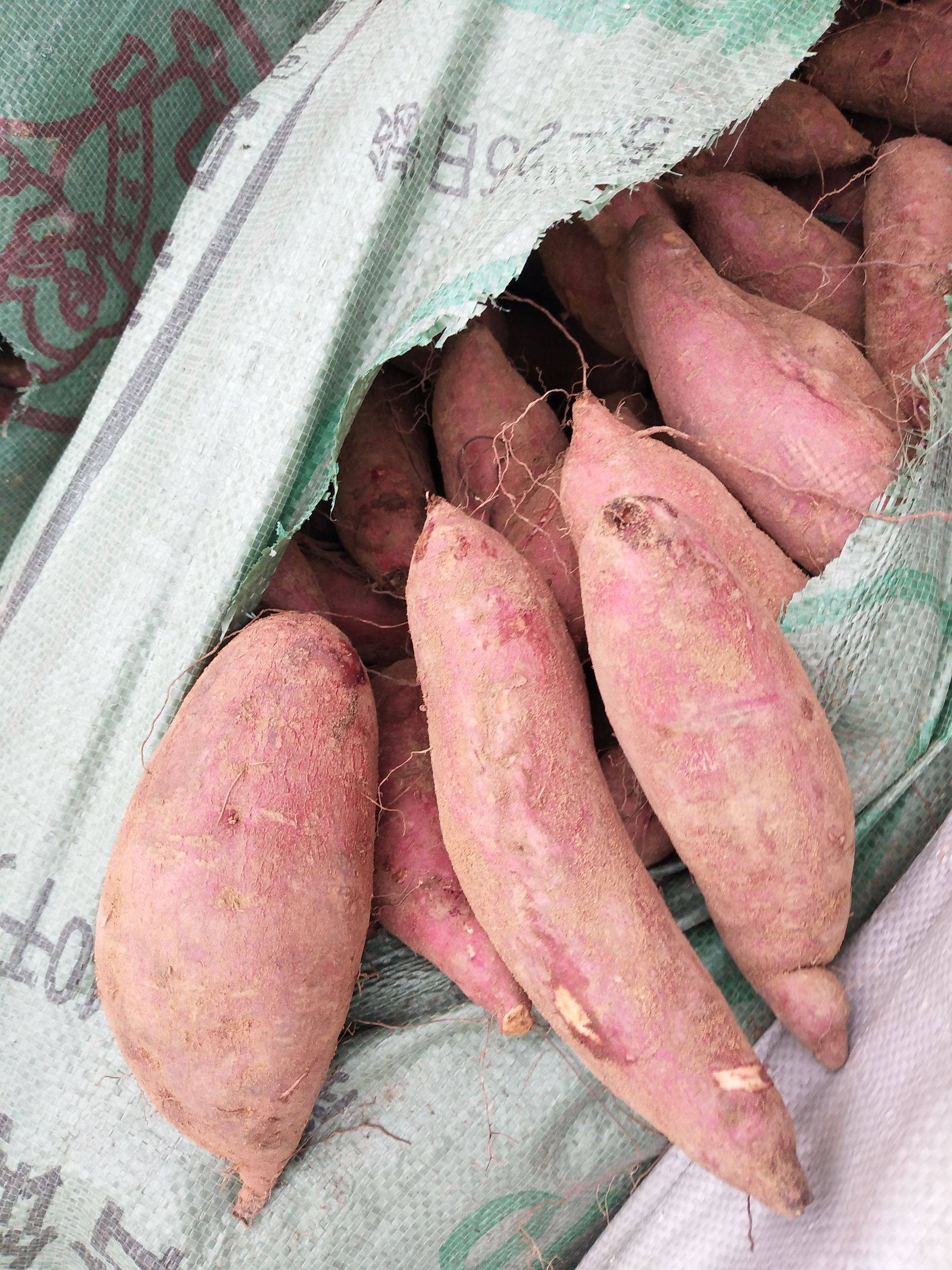 富硒地瓜不易吃(吃富硒地瓜有什么好处)-硒宝网