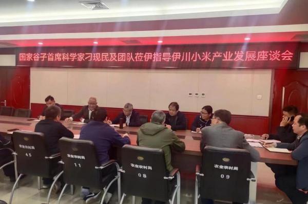 郑州富硒地瓜苗(富硒地瓜价格)-硒宝网