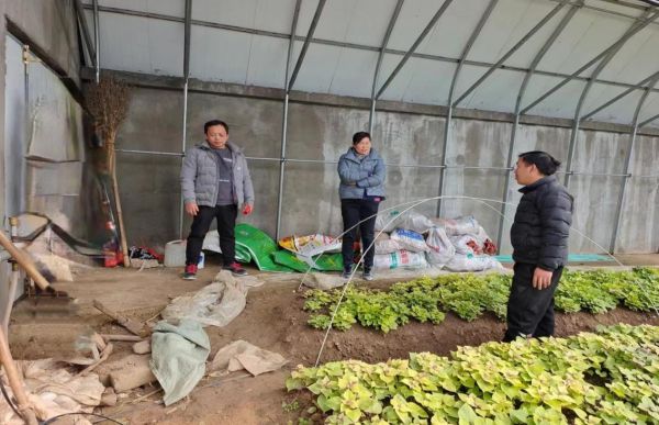 郑州富硒地瓜苗(富硒地瓜价格)-硒宝网