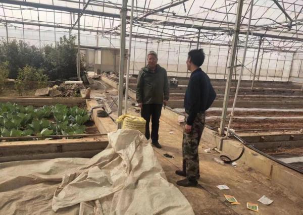 郑州富硒地瓜苗(富硒地瓜价格)-硒宝网