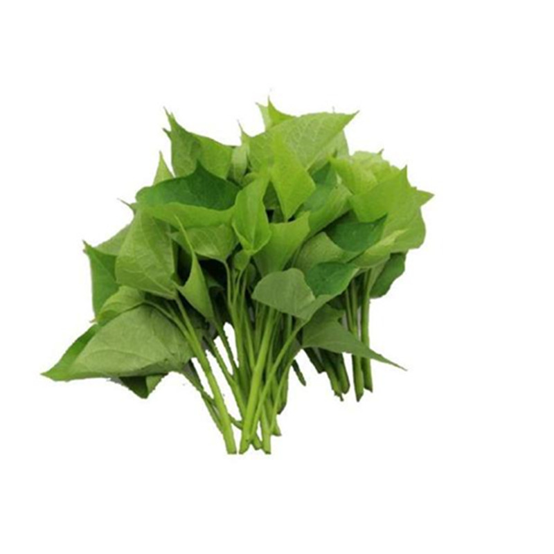 富硒地瓜的鉴别(富硒地瓜怎么分辨)-硒宝网