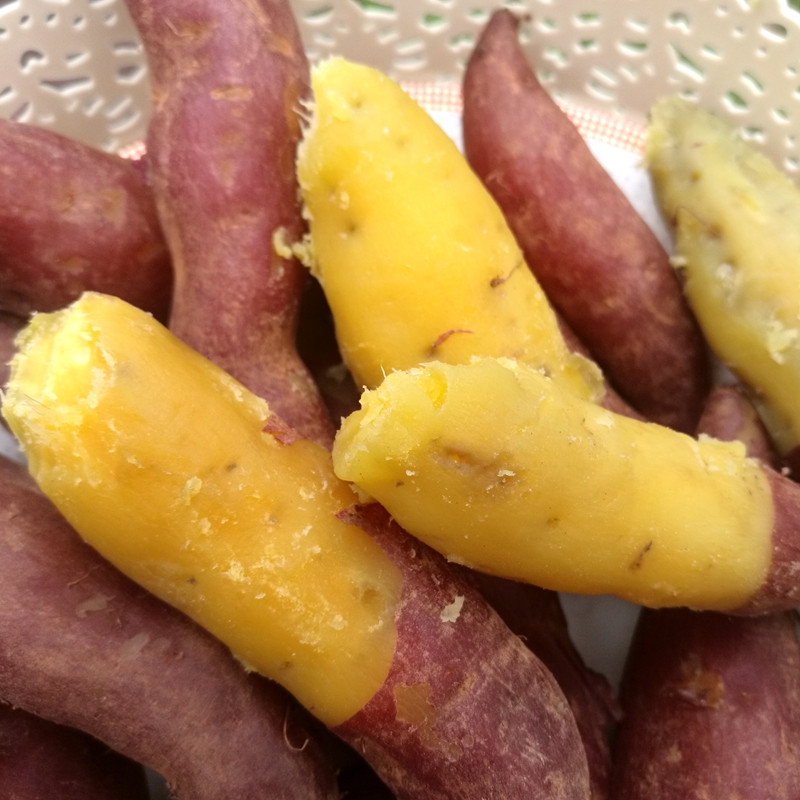 富硒地瓜的鉴别(富硒地瓜怎么分辨)-硒宝网