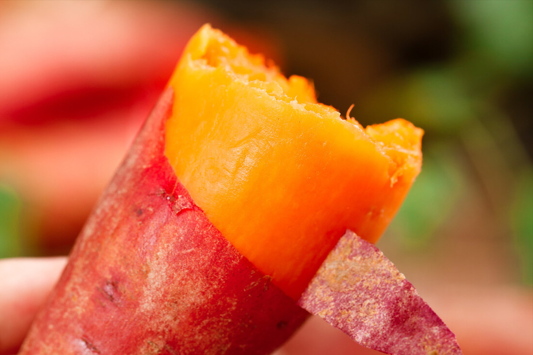 富硒地瓜有点苦(富硒地瓜真的含硒吗)-硒宝网