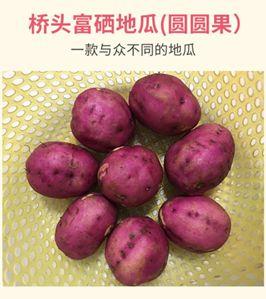 富硒地瓜有点苦(富硒地瓜有毒吗)-硒宝网