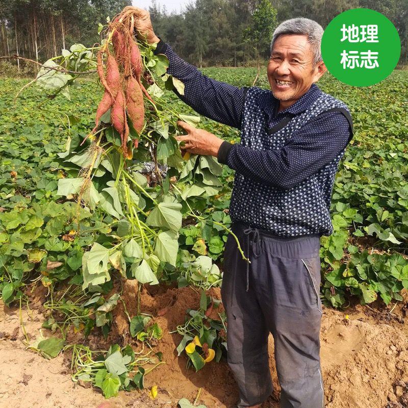 富硒地瓜有点苦(富硒地瓜有毒吗)-硒宝网