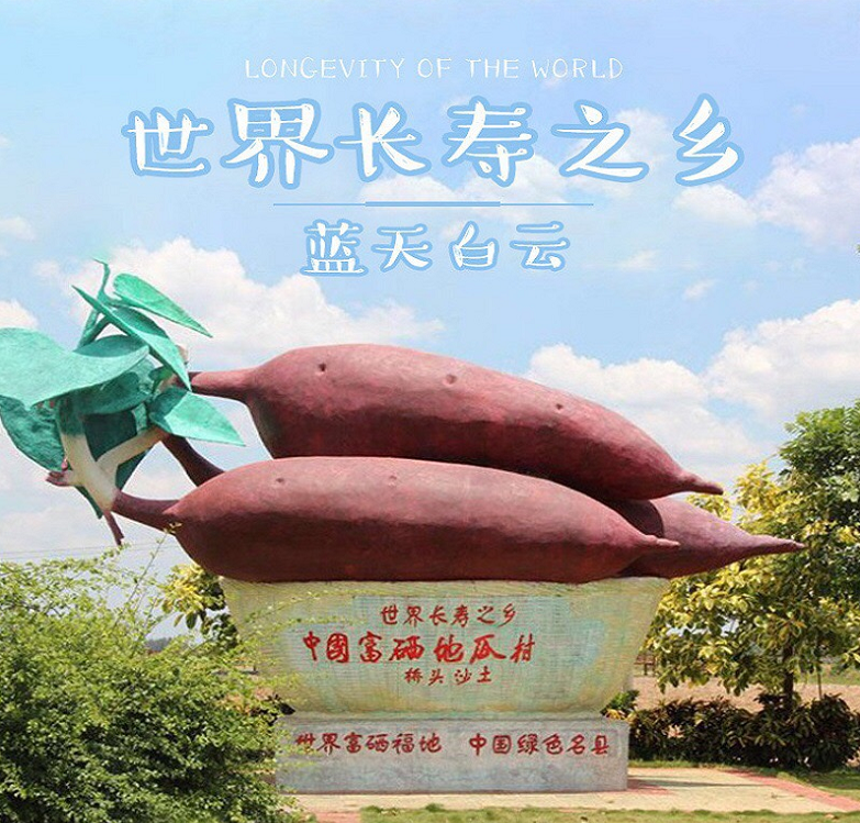 富硒地瓜有点苦(富硒地瓜有毒吗)-硒宝网