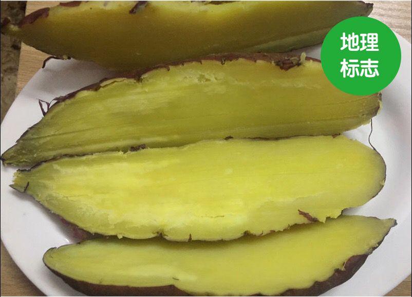 富硒地瓜有点苦(富硒地瓜有毒吗)-硒宝网