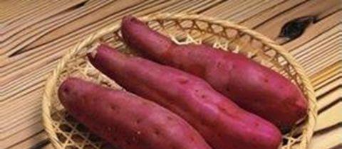 富硒地瓜补血吗(富硒地瓜好吗)-硒宝网
