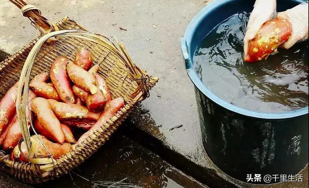 富硒地瓜饼做法（地瓜饼视频教程）-硒宝网