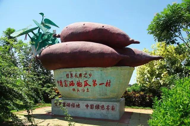 富硒地瓜有点苦(苦地瓜能吃吗)-硒宝网