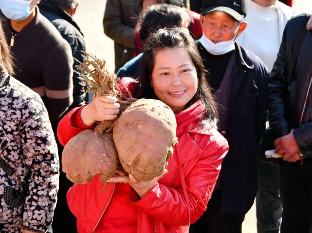 富硒地瓜小程序(富硒地瓜口感)-硒宝网