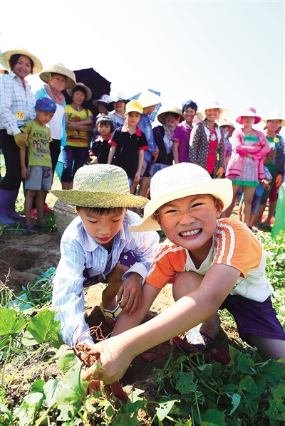 富硒地瓜是哪种(地瓜富硒标准)-硒宝网