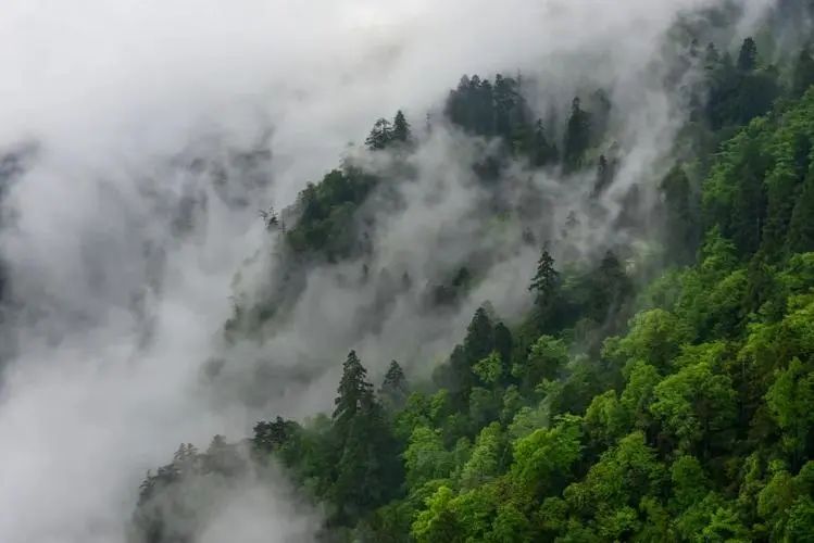 富硒地瓜蛋直播(富硒地瓜蛋直播)-硒宝网