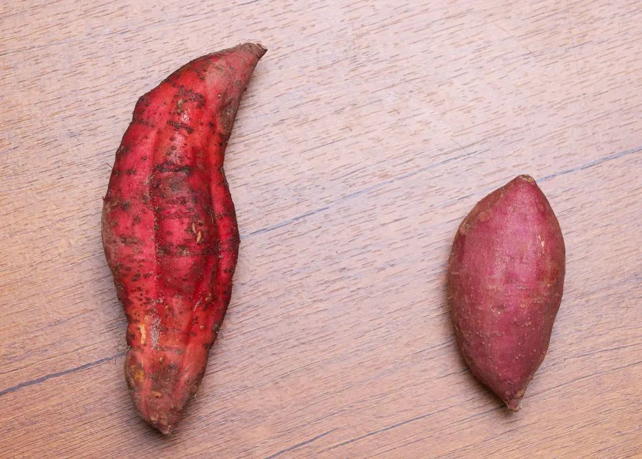 富硒地瓜蛋直播(富硒地瓜蛋直播)-硒宝网