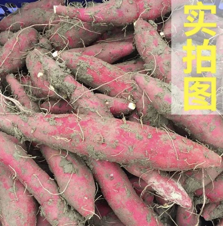 富硒地瓜蛋直播(富硒地瓜蛋直播)-硒宝网