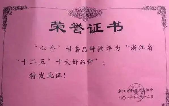 富硒地瓜蛋直播(富硒地瓜蛋直播)-硒宝网