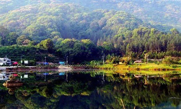 富硒地瓜的品种(富硒地瓜哪里最好)-硒宝网