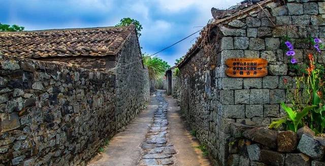 富硒地瓜的品种(富硒地瓜哪里最好)-硒宝网