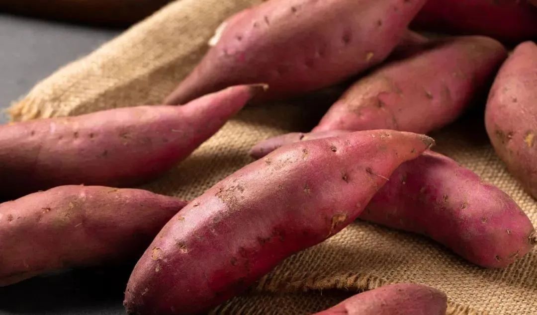 海南富硒沙地瓜（海南沙地瓜富硒产地）-硒宝网