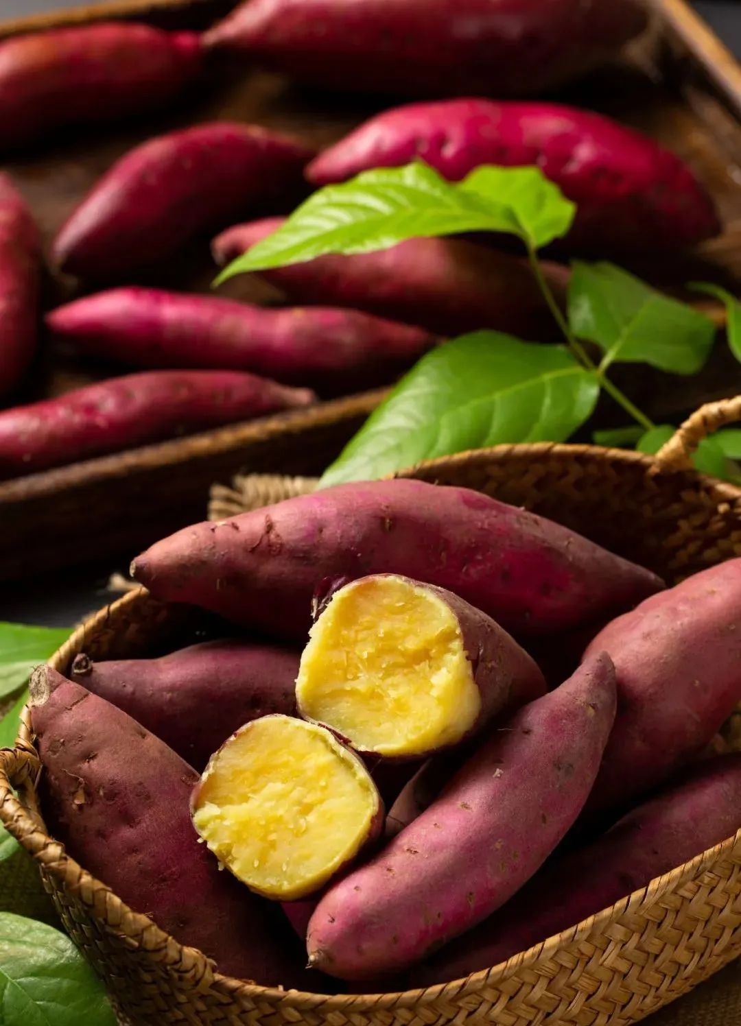 海南富硒沙地瓜（海南沙地瓜富硒产地）-硒宝网