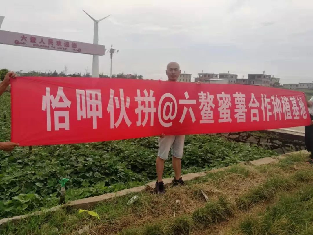 富硒烤地瓜做法(地瓜硒)-硒宝网