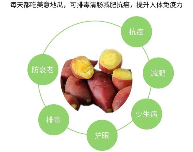 富硒地瓜哪种好（地瓜种富硒好吃吗）-硒宝网