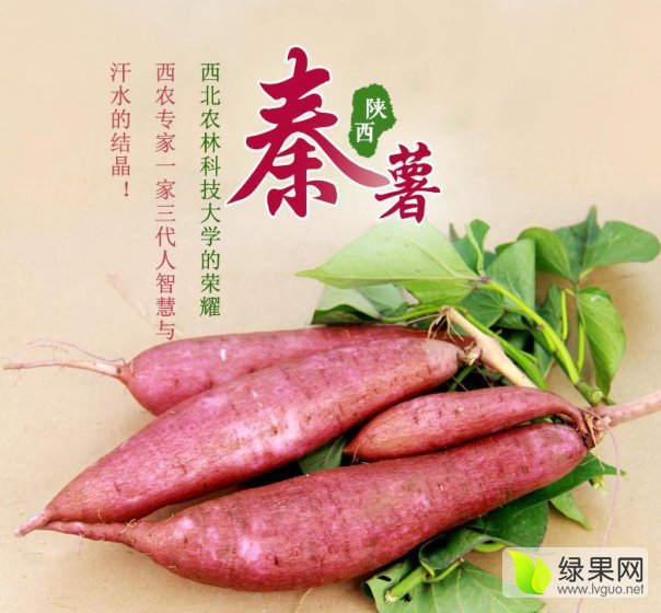 富硒地瓜哪种好（地瓜种富硒好吃吗）-硒宝网