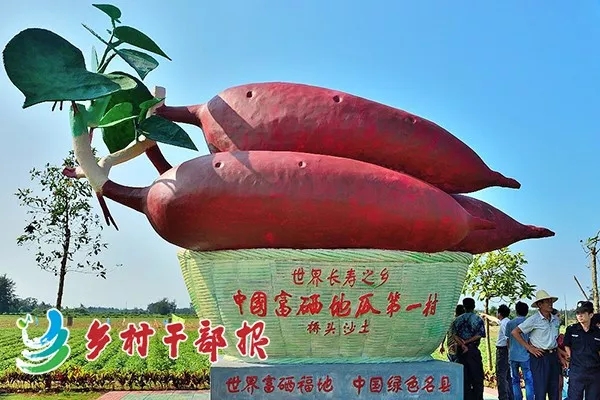 富硒地瓜干代理（地瓜干厂家直销）-硒宝网