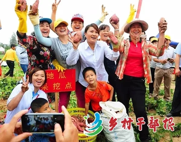 富硒地瓜干代理（地瓜干厂家直销）-硒宝网