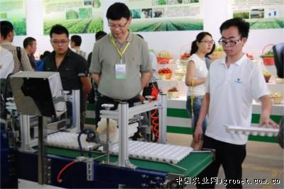 富硒地瓜胖人吗（胖地瓜富硒人能吃吗）-硒宝网