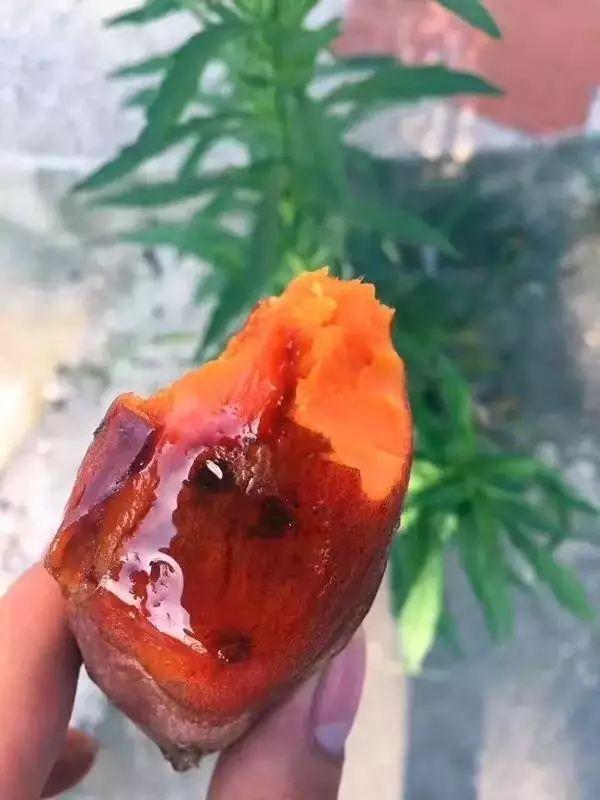 富硒烤地瓜做法（富硒地瓜的做法）-硒宝网